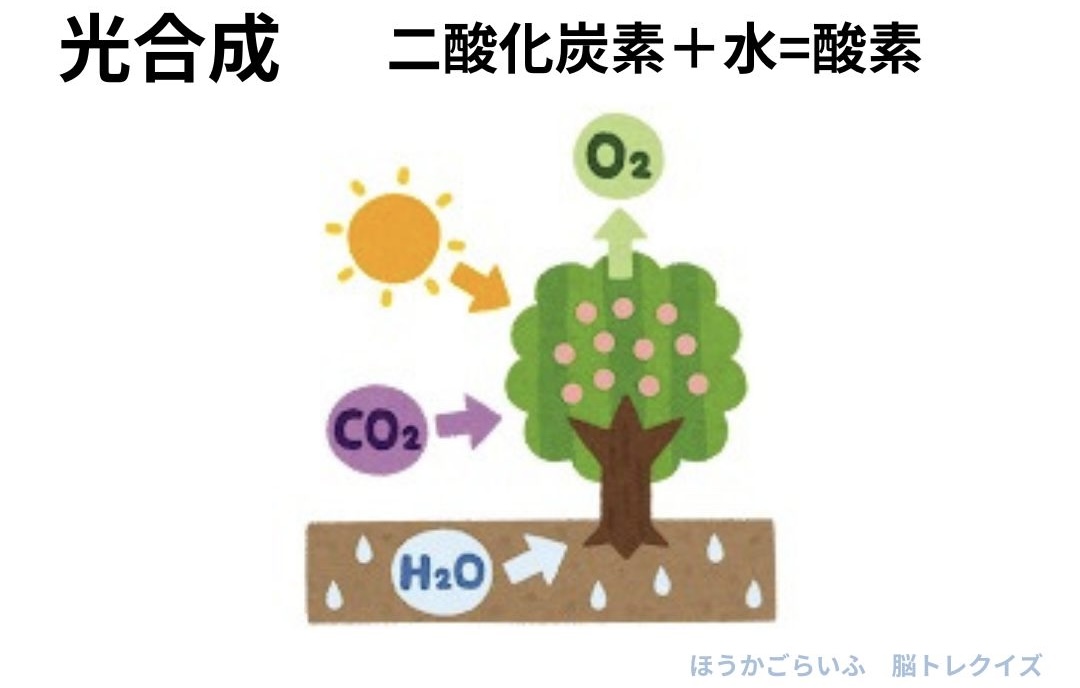 高齢者向け（無料）脳トレ•クイズ中級編　認知症予防に楽しくレクリエーション