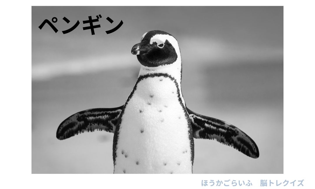 高齢者向け（無料）簡単脳トレ•クイズに挑戦しよう！認知症予防に楽しくレクリエーションご自宅でも施設でもどうぞ